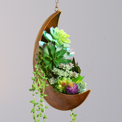 Moon Planter Inspiration Photos