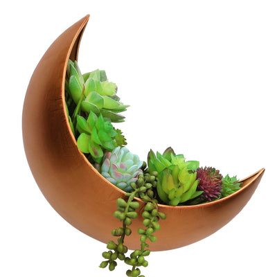Gold Wall Planter - Window Planter - Hanging Moon Planter - Boho Hanging Planters for Indoor Plants, Succulents, Air Plant, Cactus, Faux, Artificial Plants -Witchy Gifts for Women, Birthdays,Plant Lovers Oakadoaks