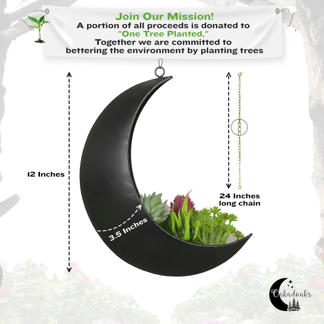 Hanging Moon Planter- Black- Moon Room Decor - Crescent Moon