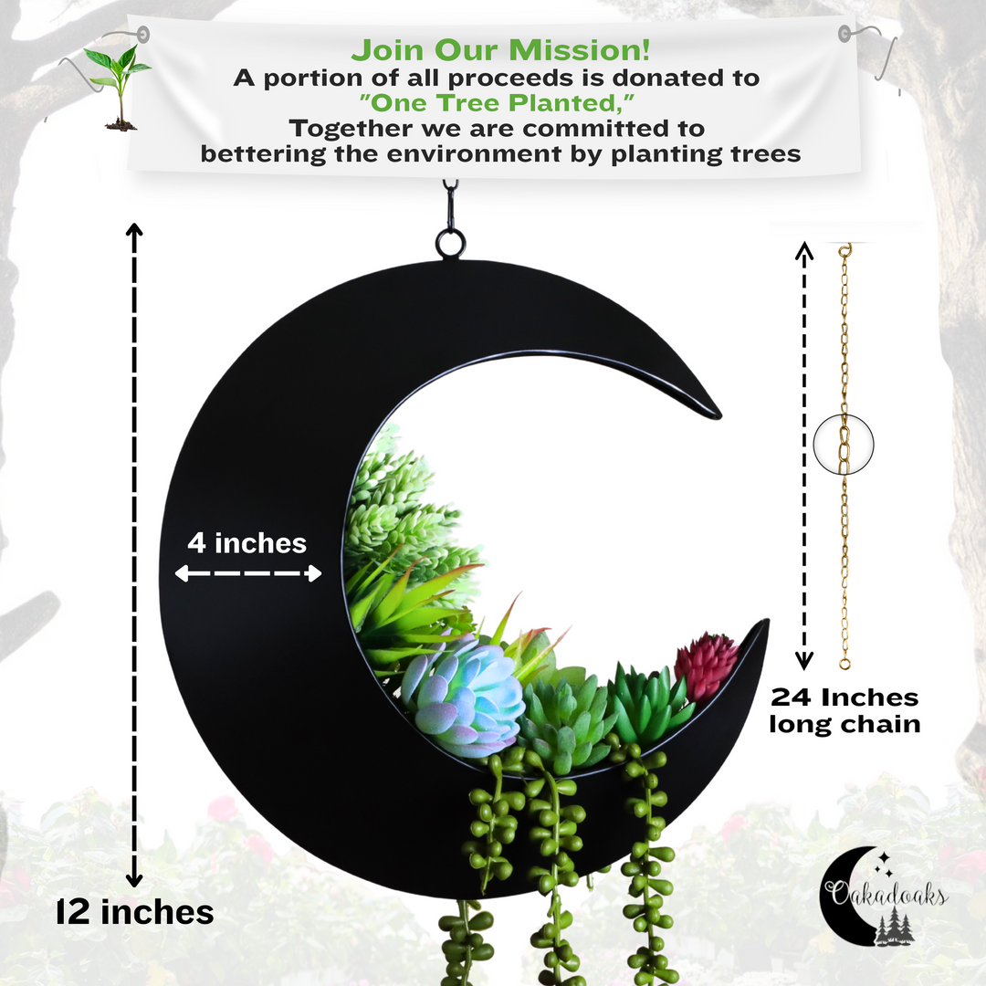 Hanging Crescent Moon Planter - Moon Room Decor - Black – Oakadoaks