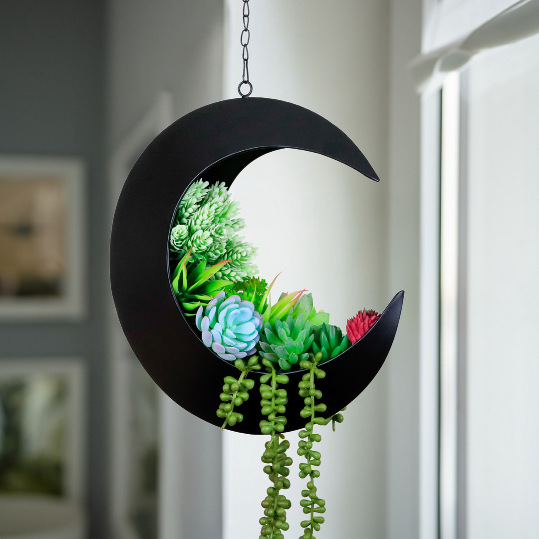 Hanging Crescent Moon Planter - Moon Room Decor - Black – Oakadoaks