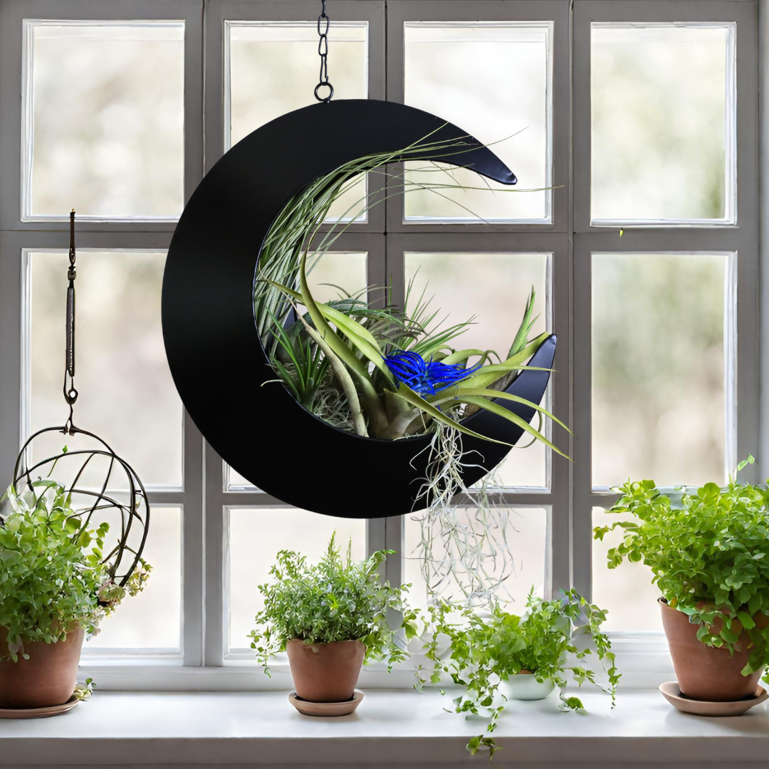 Hanging Crescent Moon Planter - Moon Room Decor - Black – Oakadoaks Hanging Crescent Moon Planter - Moon Room Decor - Black – Oakadoaks