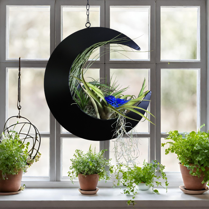 moon planter pot Hanging Crescent Moon Planter - Moon Room Decor