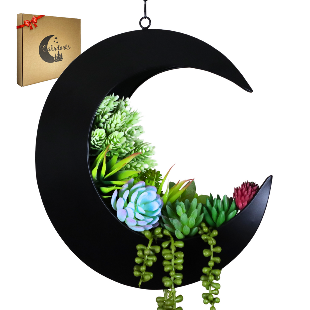 crescent hanging planter Hanging Crescent Moon Planter - Moon Room Decor