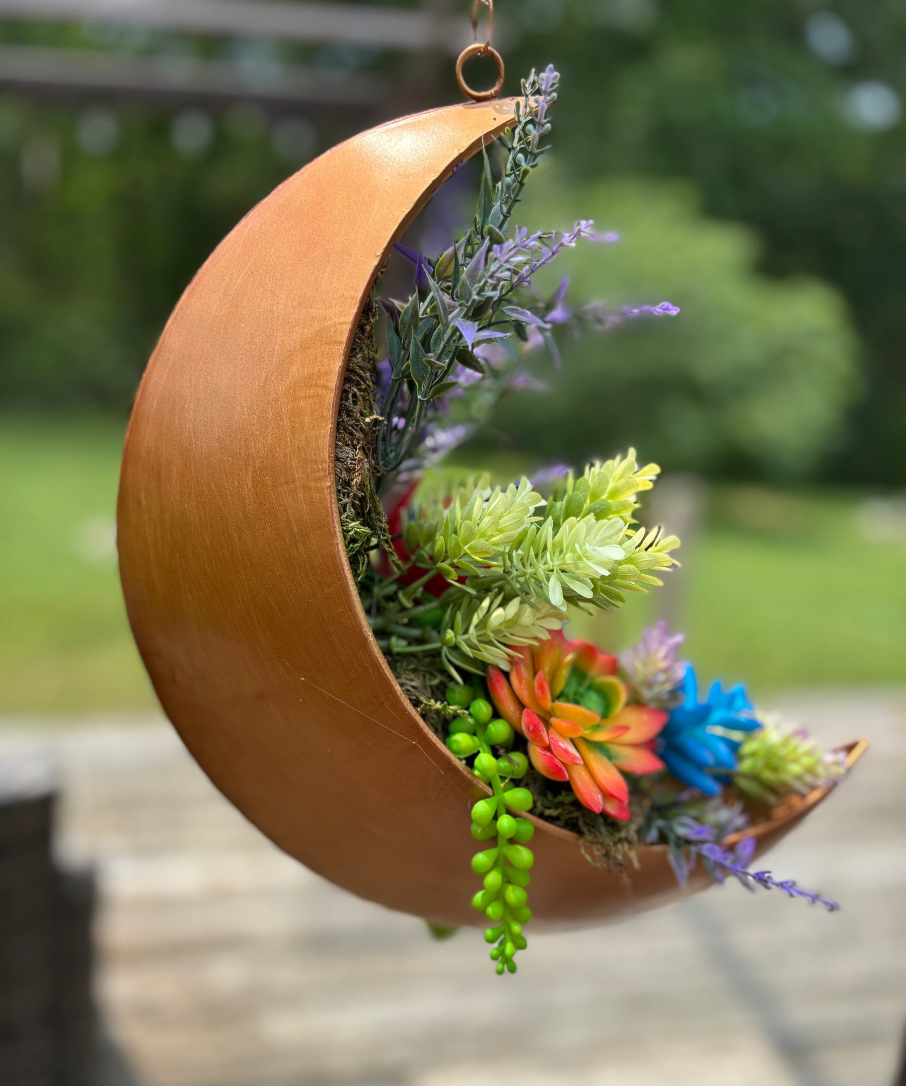 Crescent moon-shaped hanging planter with colorful succulents and herbs on a blurred outdoor background.