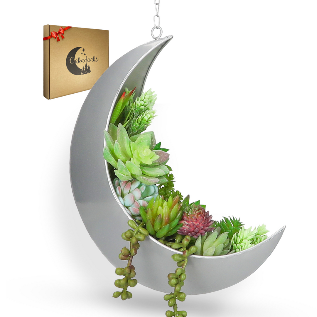 Hanging Moon Planter- Silver- Moon Room Decor - Crescent Moon