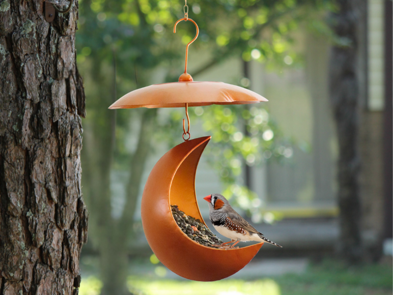 Lunar Bloom Moon Bird Feeder with Moon Flower Rain Dome – 9” Hanging Metal Feeder for Outdoors, Squirrel-Resistant, Antique Gold Oakadoaks