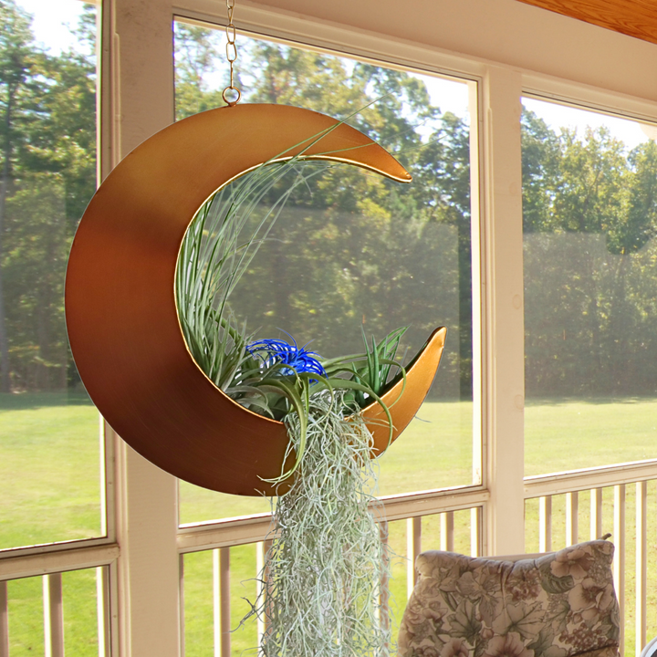 Hanging Crescent Moon Planter - Moon Room Decor - Gold – Oakadoaks