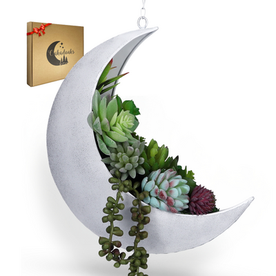 Copy of Hanging Moon Planter- Rustic White- Moon Room Decor - Crescent Moon Planter Oakadoaks