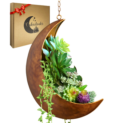 Hanging Moon Planter- Moon Room Decor - Crescent Moon Planter Oakadoaks