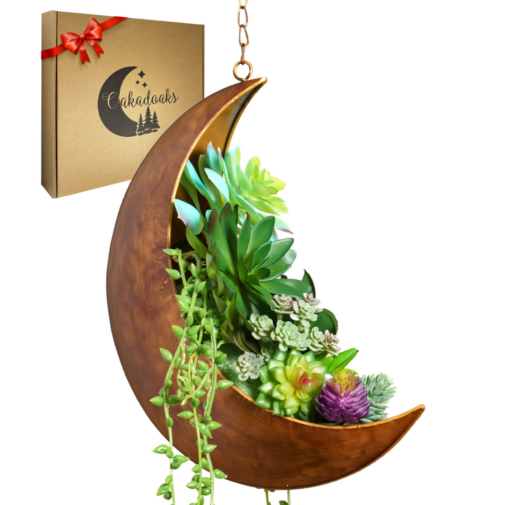 Hanging Moon Planter- Moon Room Decor - Crescent Moon Planter Hanging Moon Planter- Moon Room Decor - Crescent Moon Planter